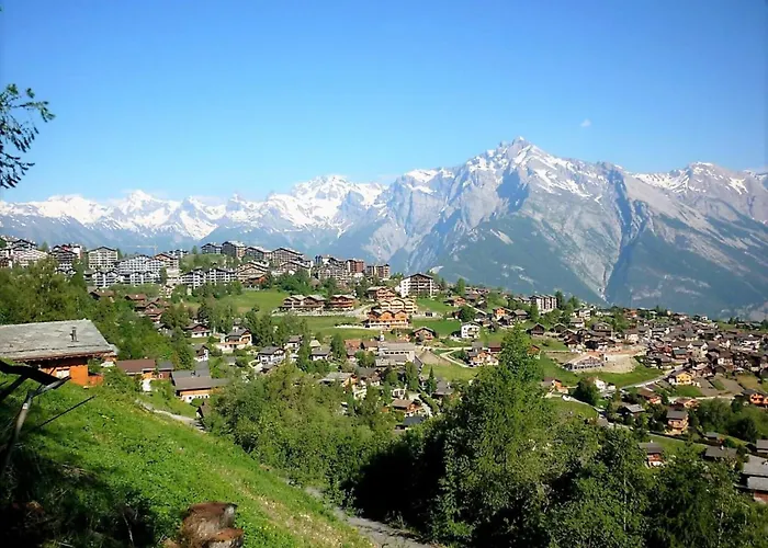 Comfy With Terrace Nendaz