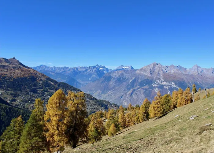 Comfy With Terrace Nendaz